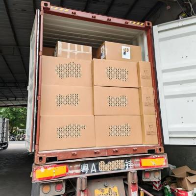 loading on Jan,21,2026